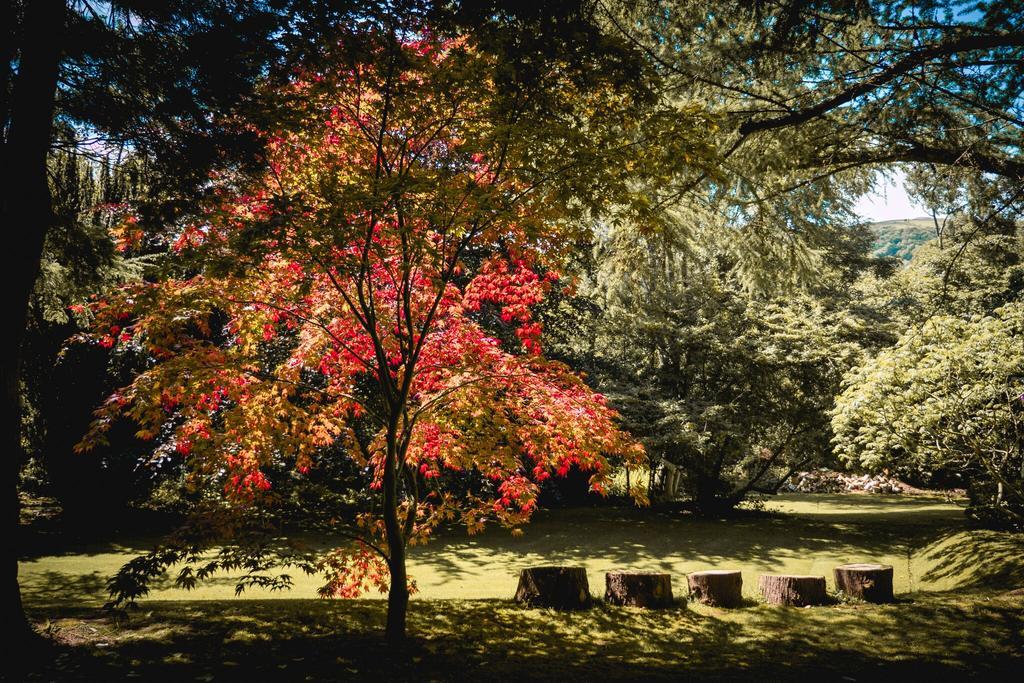 Tir Y Coed Country House Konuk evi Conwy Dış mekan fotoğraf